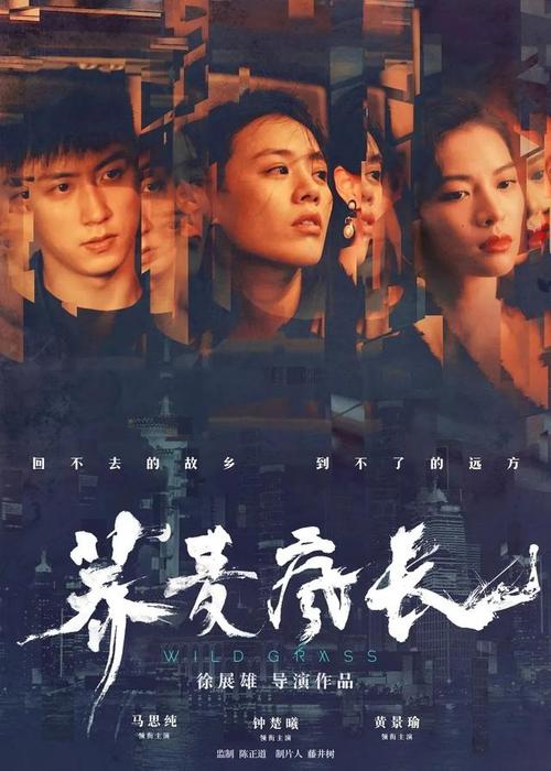 哪里能买到巴西签证